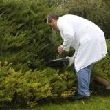 Foto: Damjan Tadic/CROPIX (Ilustracija)