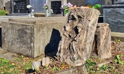 Očišćeni su spomenici koji su bili zarasli/Foto: Nikica Puhalo/MojPortal.hr