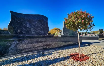 Posađena su nova stabla/Foto: Nikica Puhalo/MojPortal.hr
