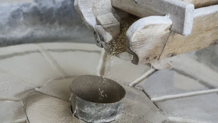 Foto: Bozidar Vukicevic/CROPIX (ilustracija)