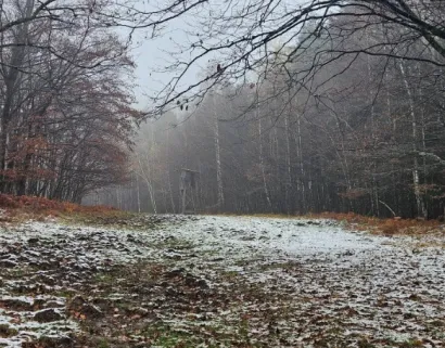 Dublje u Psunju prekrivač je bio deblji/Foto: PD Psunj