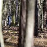 Policija traga za šumskim lopovima/ Foto: Željko Hajdinjak/Cropix (ilustracija)