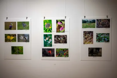 Foto: Predrag Uskoković