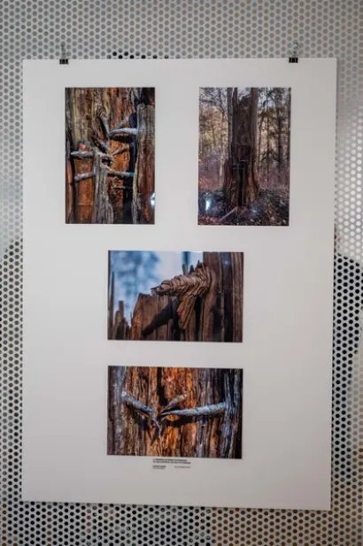 Foto: Predrag Uskoković