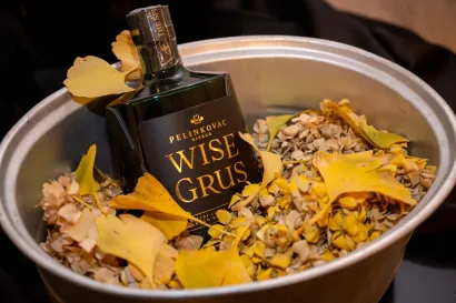 Foto: Predrag Uskoković/Grad Daruvar