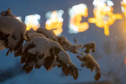 Foto: Tibor Javurek/TooCool produkcija