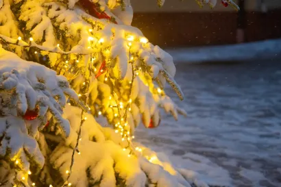 Foto: Tibor Javurek/TooCool produkcija