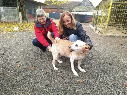 Foto: Udruga Vau Vau