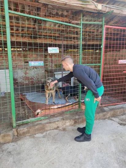 Foto: Udruga Vau Vau