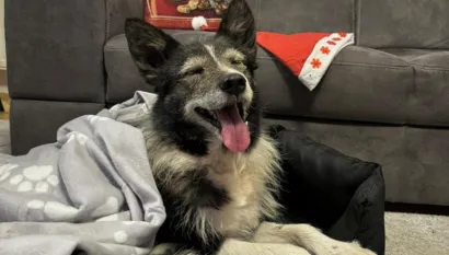 Foto: Udruga Vau Vau