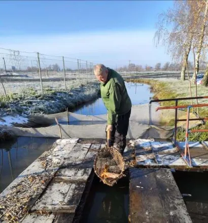 Foto: Ribnjačarstvo Končanica