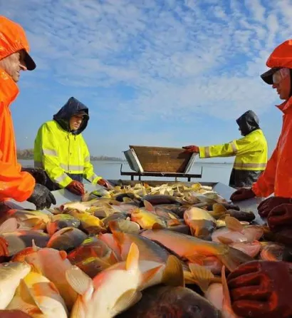 Foto: Ribnjačarstvo Končanica