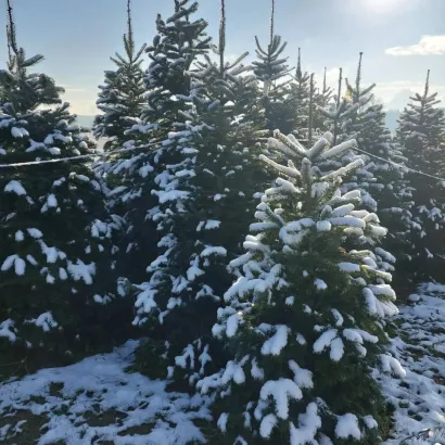 Foto: Privatni album