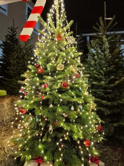 Foto: Privatni album