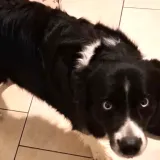 Foto: Privatni album