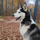 Foto: Privatni album