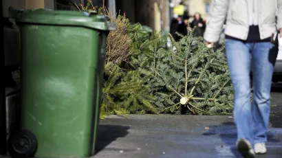 Ne bacajte svoje jelke nasred ulice/Foto: Boris Kovačev/CROPIX (ilustracija)