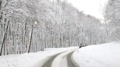 Foto: Pakrački list