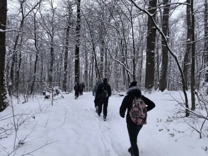 Snijegom zametena staza prema Omanovcu/Foto: Planinarsko dru&scaron;tvo Psunj