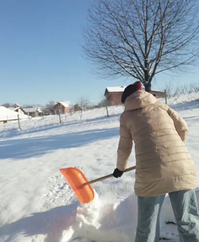 Vrijedne žene očistile su snijeg ispred kuća i u dvori&scaron;tima/Foto: Privatni album 