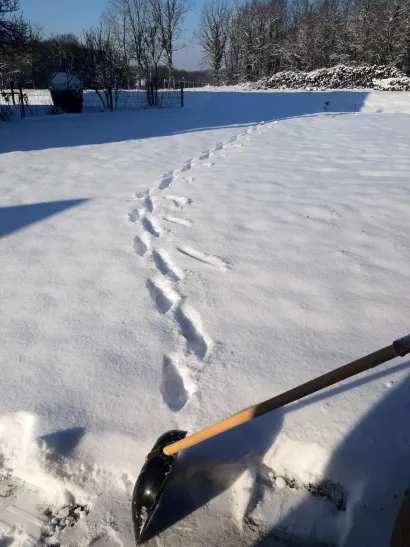 Foto: Privatni album