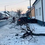 Foto: PU bjelovarsko-bilogorska