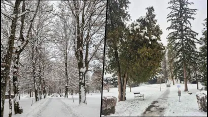 Prizor iz Julijevog parka i Perivoja grofa Jankovića/Foto: Daruvarske toplice, Grad Daruvar