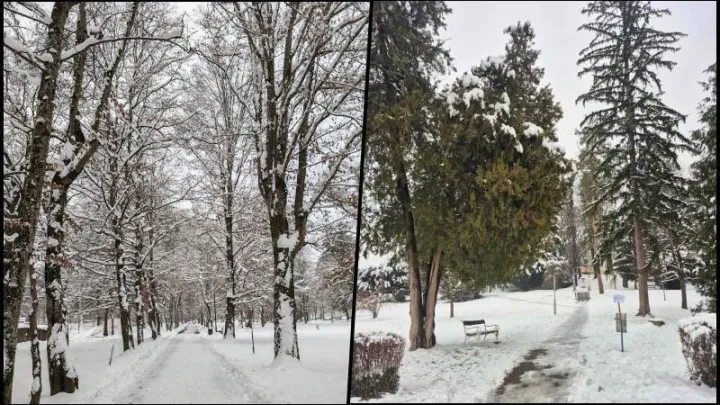 Prizor iz Julijevog parka i Perivoja grofa Jankovića/Foto: Daruvarske toplice, Grad Daruvar