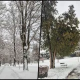 Prizor iz Julijevog parka i Perivoja grofa Jankovića/Foto: Daruvarske toplice, Grad Daruvar