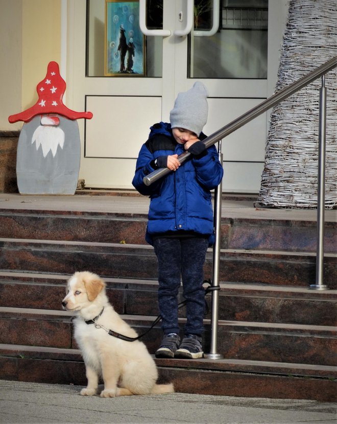 Pas i dječak koji se nema s kim igrati/Foto: MojPortal.hr