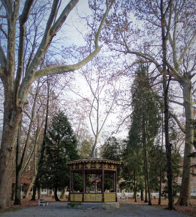 Julijev park bez ljudi, stabla bez lišća/Foto: MojPortal.hr