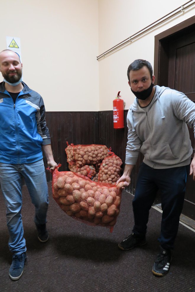 Prikupljeno je i dosta krumpira/Foto: Alena Raisová