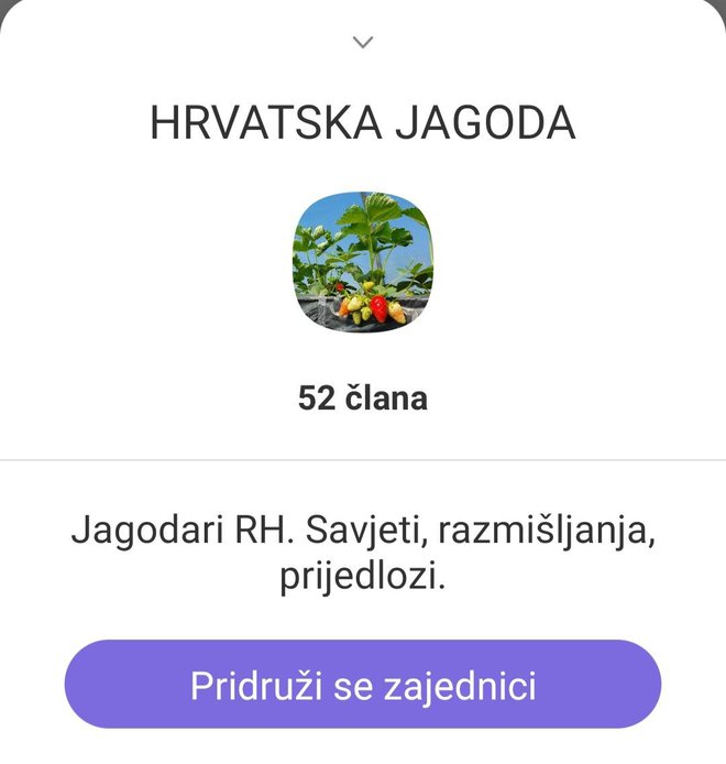 Zajednica "Hrvatska jagoda" koju je osnovao Matija Brinjak iz Velikog Banovca kod Pakraca / Foto: Screenshot