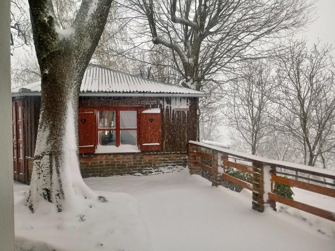 Zimska idila na imanju obitelji Vlajinić u selu Ribnjačka na području Općine Velika Pisanica/Foto: Dubravka Vukoja