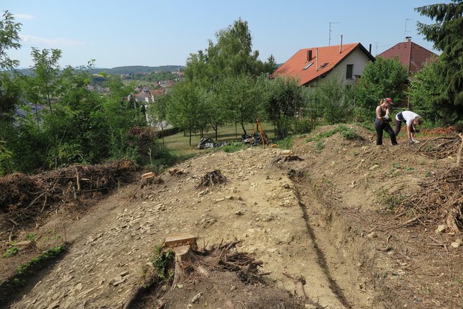 Rimski obrambeni zid protezao se preko današnjeg židovskog groblja sve do Starog Slavika/Foto: Vlatka Daněk
