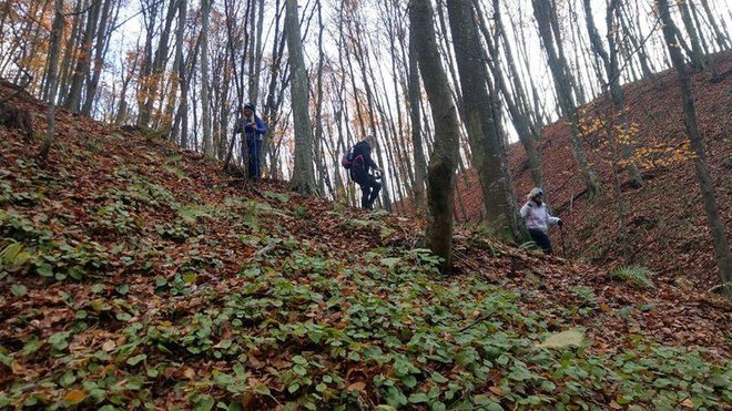 Planinari u akciji/Foto:Planinarsko društvo Petrov vrh