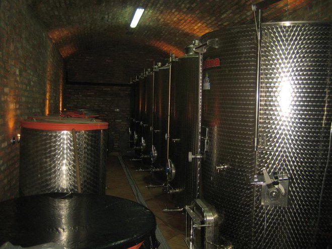 Imaju vlastitu preradu grožđa i vlastiti vinski podrum suvremeno opremljen inox posuđem sa sustavom hlađenja/Foto: Ljiljana Kovačević