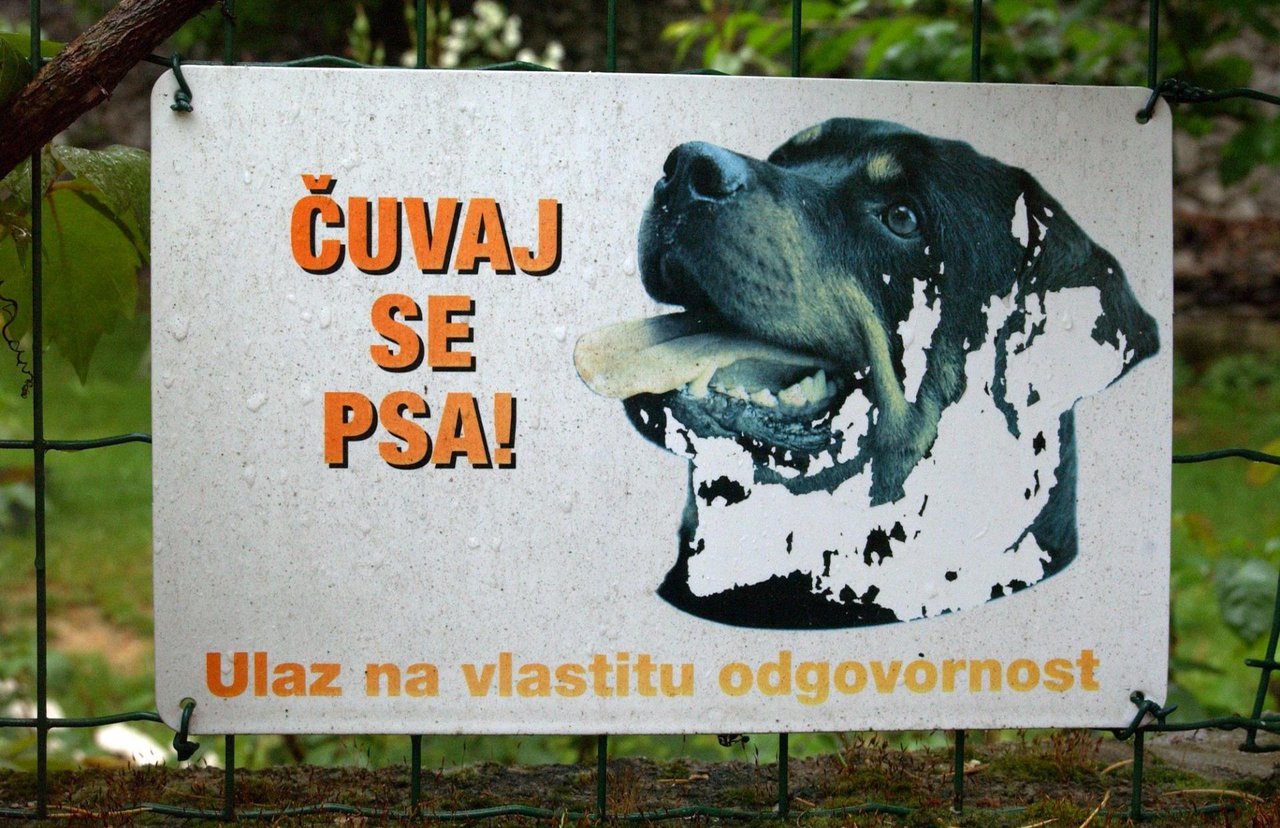 Fotografija: Pas je napao poštara u mjestu Sovari kod Čazme/
Foto: Goran Šebelić/CROPIX (ilustracija)