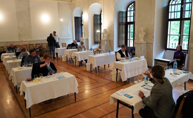 Dvije komisije sastavljene od po pet članova, enologa, ocjenivale su vinske uzorke/Foto: MojPortal.hr
