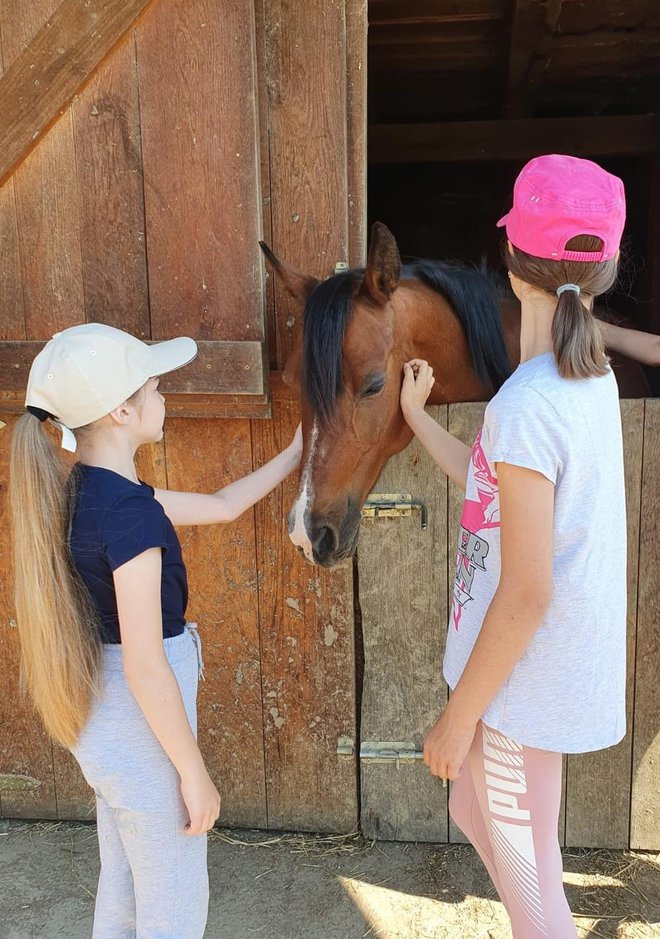 Djeca su bez straha mazila konje/Foto: KK Garić