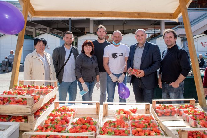 Vladimir Bilek s članovima njegove nezavisne liste u petak su dijelili jagode i prikupljali donacije za daruvarsku udrugu Korak dalje/Foto: Predrag Uskoković