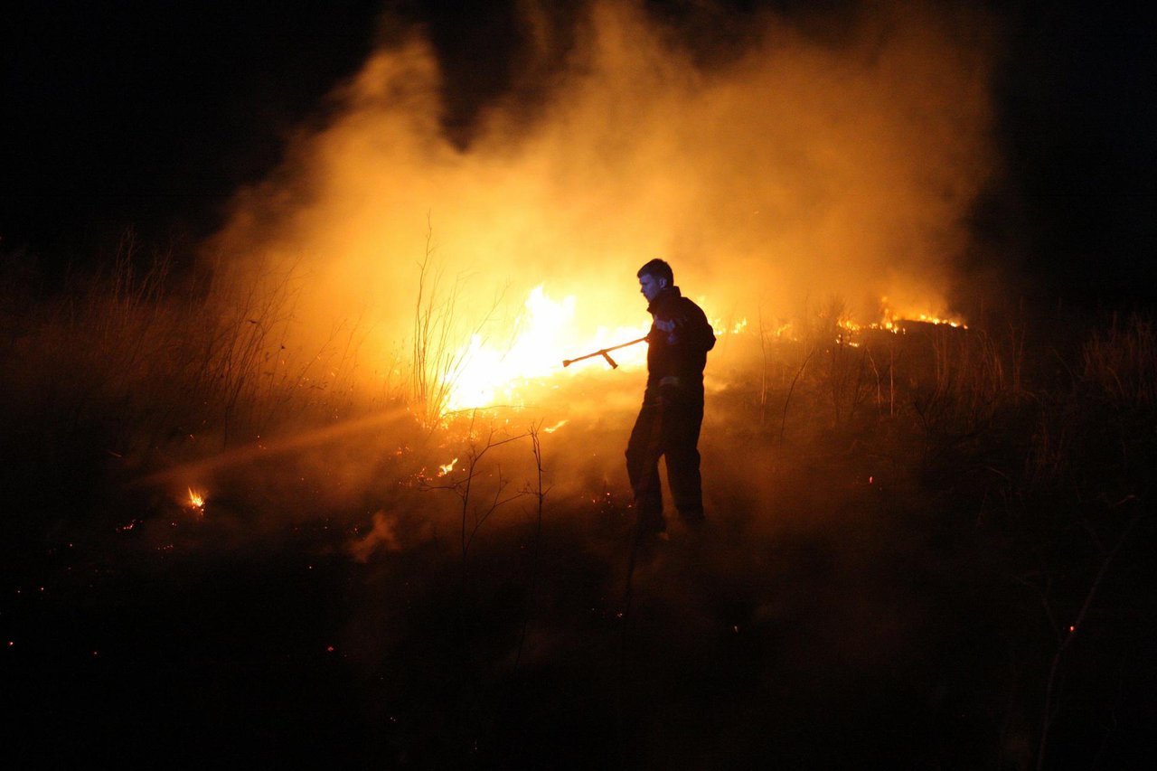 Fotografija: Vatra se sa staričinog zemljišta proširila na susjedovo strnište/Foto: Vladimir Ivanov/CROPIX (ilustracija)