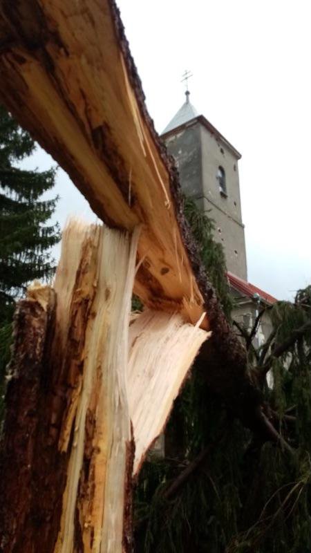 Fotografija: Srećom, srušeno drvo nikoga nije ozlijedilo, a neoštećena je ostala i pravoslavna crkva u Doljanima/Foto: Đorđe Ostojić
