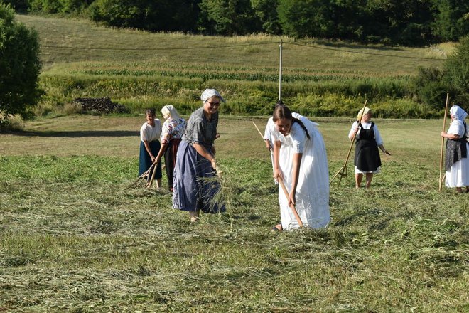 <p>Žene su rasovama širile pokošenu travu/Foto:Tomislav Fleković</p>
