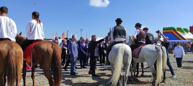 <p>Na sajmu se nalaze i rasni konji/Foto: Martina Čapo</p>
