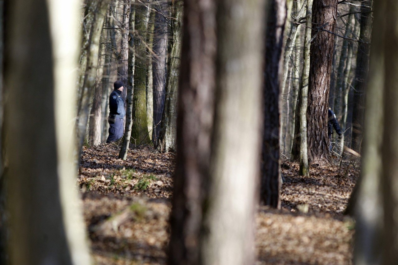 Fotografija: Policija traga za šumskim lopovima/ Foto: Željko Hajdinjak/Cropix (ilustracija)
