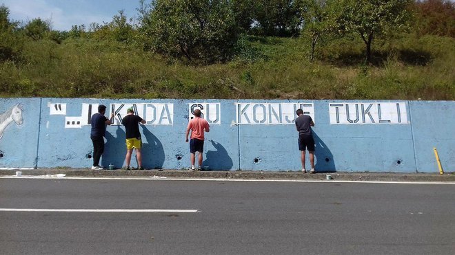 Mural u Donjem Čagliću nasato je 2017. godine, a ovog je ljeta obnovljen/Foto: Udruga djece branitelja Domovinskog rata Pakrac - Lipik
