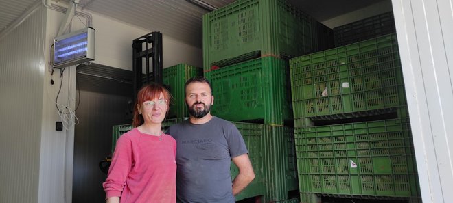 Karal i Sven zahvaljujući skladištenju batata, imaju uvjete da isti mogu prodavati u kasnijim mjesecima i na taj način postići višu cijenu/Foto: Martina Čapo
