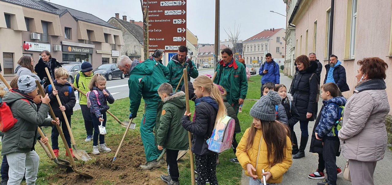 Fotografija: Učenici 3. osnovne škole pomagali su pri sadnje u centru grada/ Foto: Grad Bjelovar
