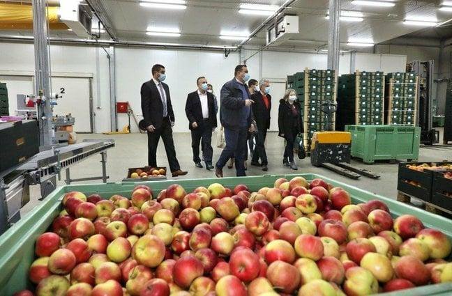 Jabuke u hladnjači ostaju iste kvalitete i nakon godinu dana/ Foto: Zagrebačka županija
